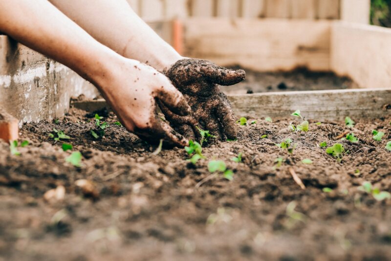 Composting