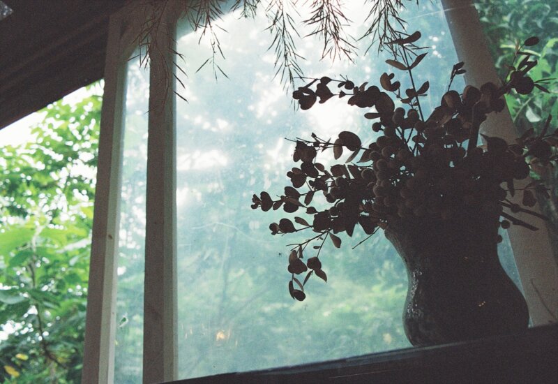 a vase filled with flowers sitting on top of a window sill